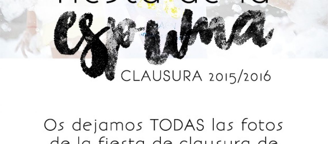 Fiesta de la espuma fotos